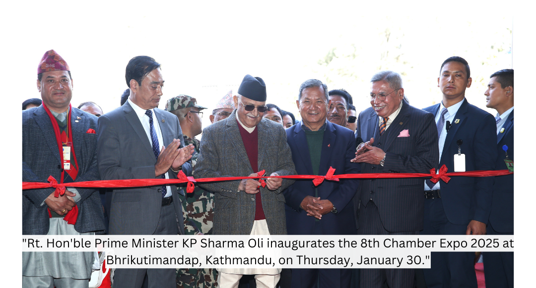 8th Chamber Expo